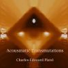 Download track Transmutations - The Cycle Of Life