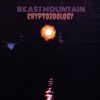 Download track Beast Mountain