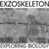 Download track Exploring Biology 2