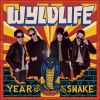 Download track Year Of The Snake