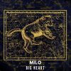 Download track Big Heart