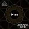 Download track Mule (Diffsoul Remix)