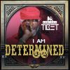 Download track I'm Determined