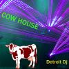 Download track Cow House