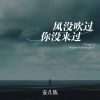 Download track 风没吹过你没来过