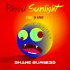 Download track Bleed Sunlight