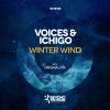 Download track Winter Wind (Original Mix)