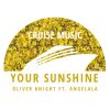 Download track Your Sunshine