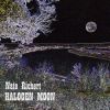 Download track Halogen Moon