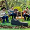 Download track El Comerciante (En Vivo)