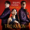 Download track Brahms Trio No. 2 In C Major, Op. 87 IV. Finale - Allegro Giocoso