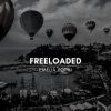 Download track Freeloaded