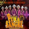 Download track Huapango El Mexicano