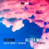 Download track Shaman (Ultra Mood Remix)