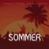 Download track Summer Nights (Radio Mix)