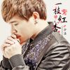 Download track 一枝红杏 (DJ版伴奏)