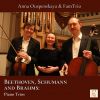 Download track Piano Trio No. 3, Op. 110 III. Rasch - Etwas Zuruckhaltend Bis Zum Langsameren Tempo - Tempo I'