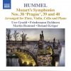 Download track Symphony No. 39 In E-Flat Major, K. 543: II. Andante Con Moto (Arr. J. N. Hummel For Flute, Violin, Cello And Piano)