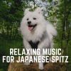 Download track Music For A Calm Hound, Pt. 19