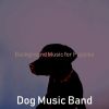 Download track Marvellous Music For Resting Dogs