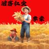 Download track 落泪红尘 (伴奏)