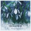 Download track Perce-Neige