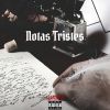 Download track Notas Tristes