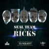 Download track SEAL Team Ricks (Original Mix)