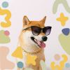 Download track Smart Music For Chill Dogs