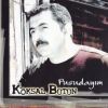 Download track Pusudayım