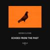 Download track Echoes From The Past