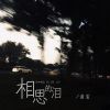 Download track 相思的泪 (伴奏)