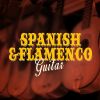 Download track Flamenco Gypsy Passion
