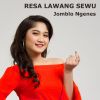 Download track Jomblo Ngenes (Version 2)