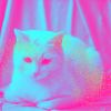 Download track Cultivated Ambience For Home Cats