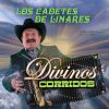 Download track El Corrido De Los Perez