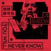 Download track You'll Never Know