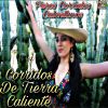 Download track El Corrido De Joselo