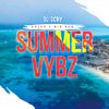 Download track Summer Vybz