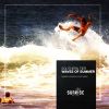 Download track Waves Of Summer (Vivit Remix)