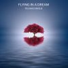 Download track Flying In A Dream (Tenn Plata Remix)