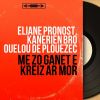 Download track Me Zo Ganet E Kreiz Ar Mor