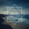 Download track Wild Emotions