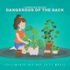 Download track Dangerous Of The Sack