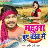 Download track Chait Me Lagata Ghaam