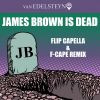 Download track James Brown Is Dead (Flip Capella & F-Cape Remix)