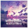 Download track Never Letting Go (Extended Version)