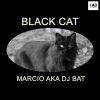 Download track Black Cat (Original Mix)