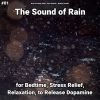 Download track Magical Rain Sounds