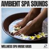 Download track Soothing Spa Music